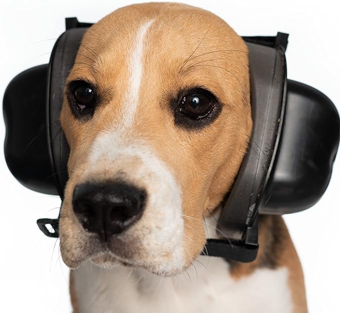 Cancelador de Ruido para Mascotas