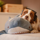 Cancelador de Ruido para Mascotas